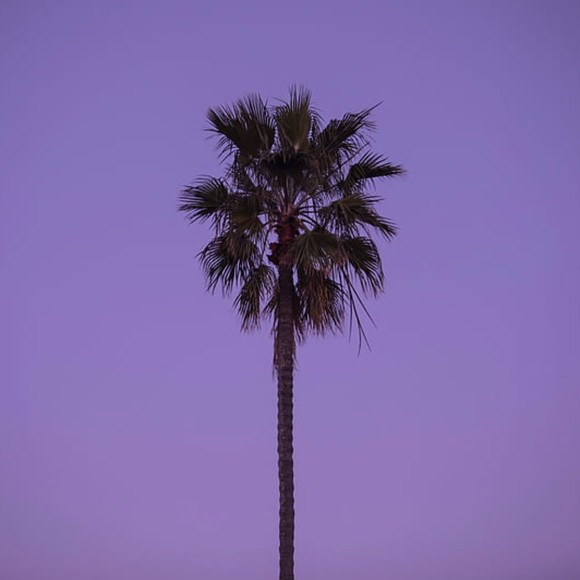 Meet your Posher, Dominic - Picture 1 of 1